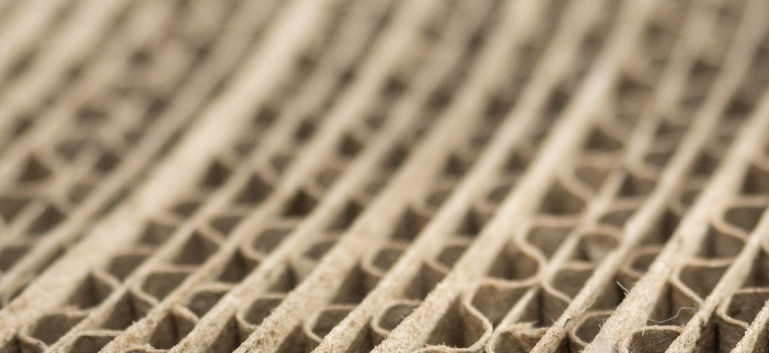 Paper Industry adds value to the Raw Materials EIP
