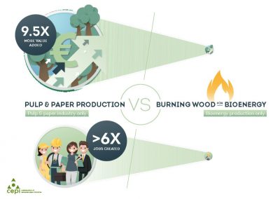 REDII infographic: pulp & paper production vs burning wood for bioenergy