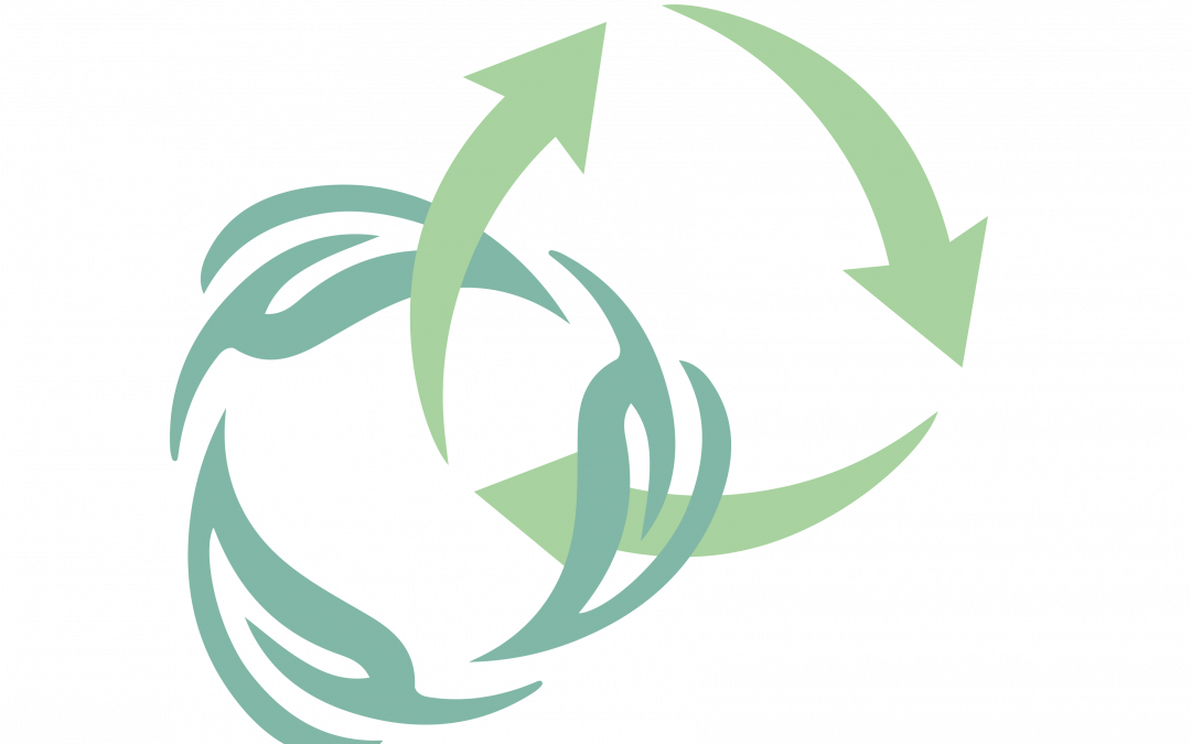 Paper & Beyond stages industry’s leadership on Europe’s circular bioeconomy