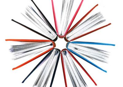 CEPI Annual Statistics 2018 – limited assurance report Deloitte
