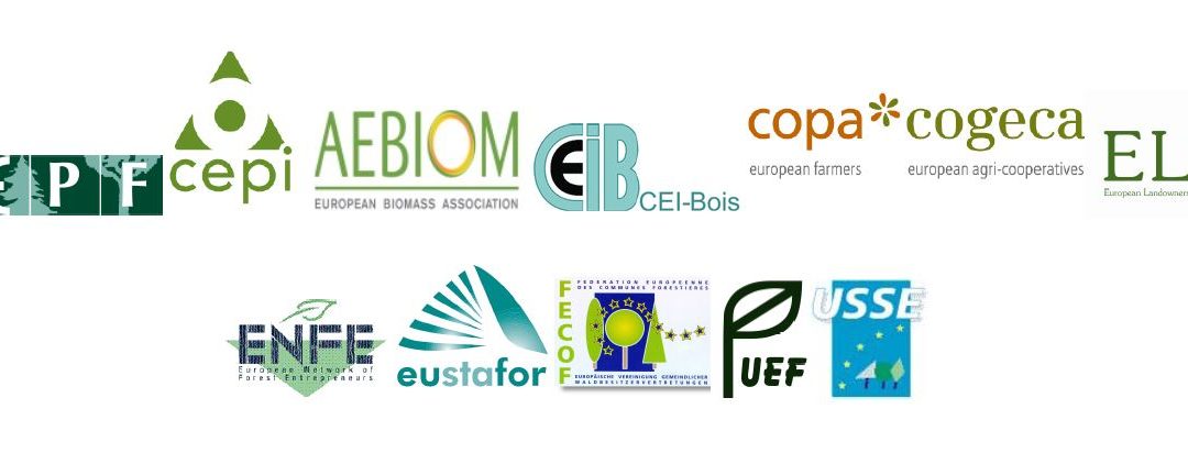European forest sector calls for continued efforts for a future Legally Binding Agreement on forests in Europe