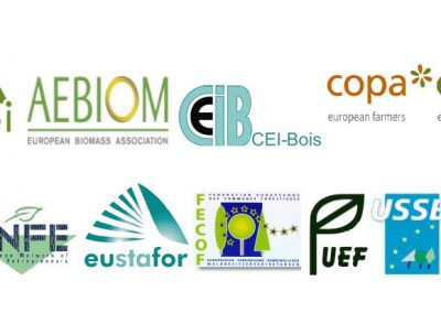 European forest sector calls for continued efforts for a future Legally Binding Agreement on forests in Europe