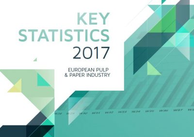 Key statistics report 2017
