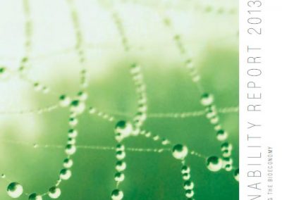 Sustainable paper industry leads bioeconomy efforts in Europe