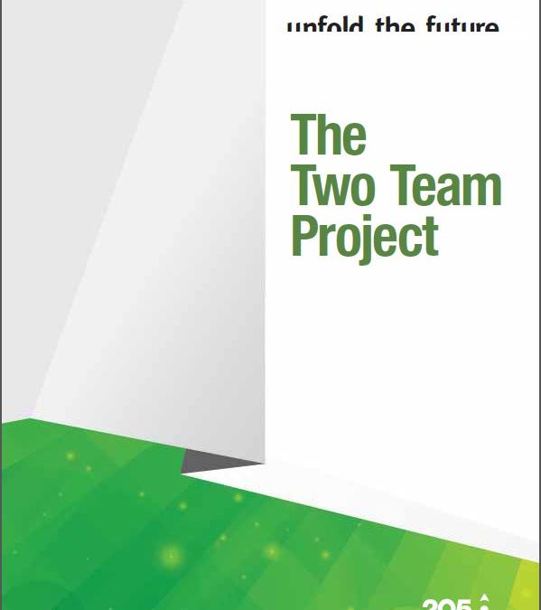 Two Team Project Report
