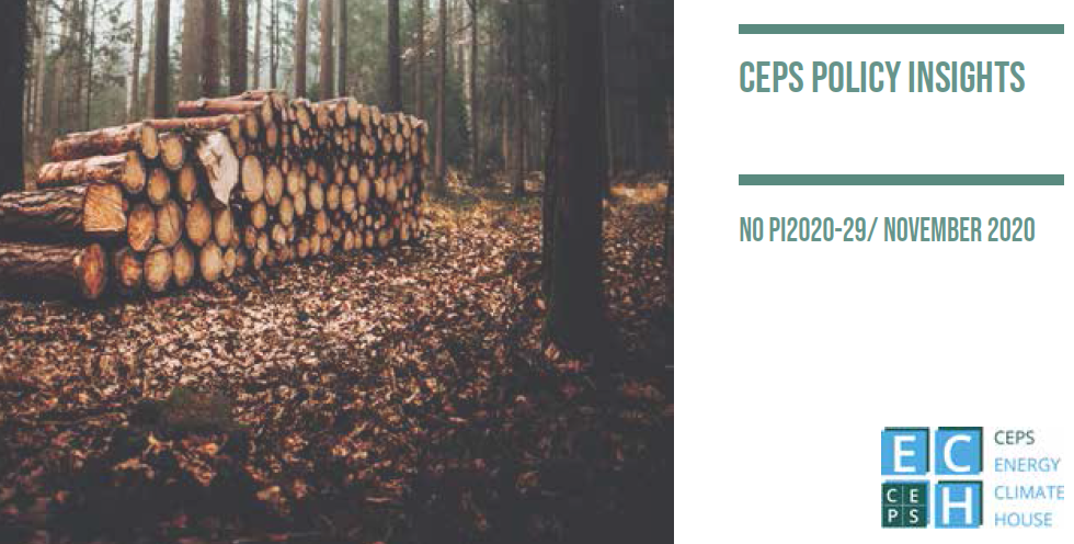 Policy paper: What role for forest-based industries in a climate-neutral future?