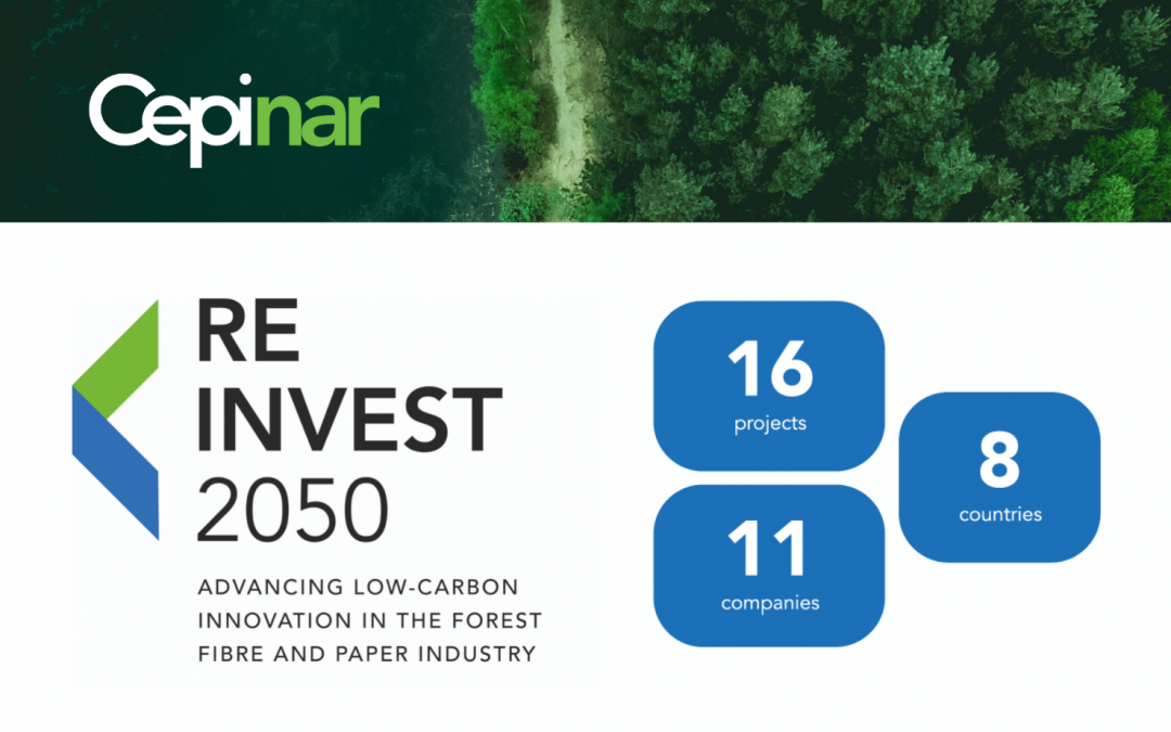 REINVEST 2050: How does the paper industry advance innovative low-carbon investments in Europe?