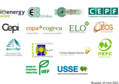 Joint statement on the EU Forest Strategy: time to really consider the opinion of EU forest and forest-based sector