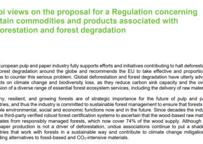 Cepi views on the proposal for a regulation on deforestation and forest degradation