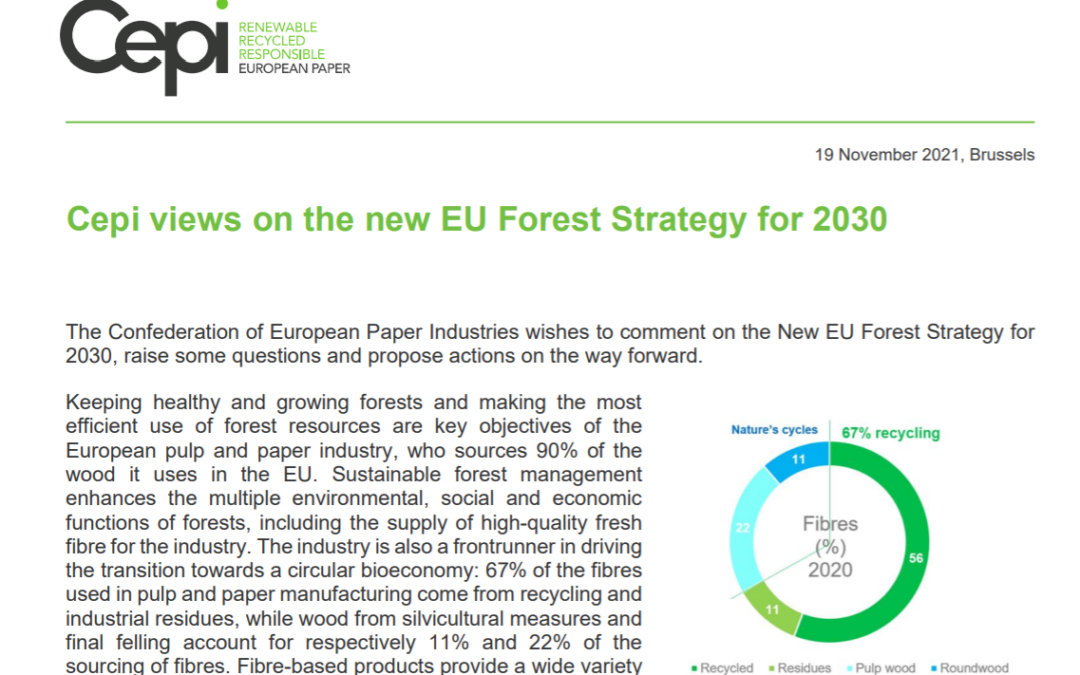 Cepi views on the new EU Forest Strategy for 2030