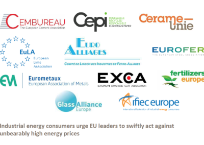 JOINT STATEMENT: Cepi and ten other industry associations call on EU leaders to swiftly act against unbearably high energy prices