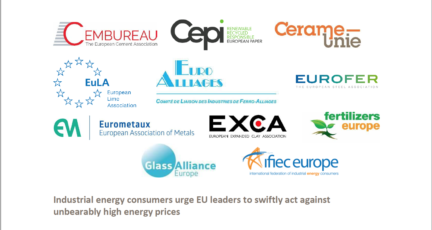 JOINT STATEMENT: Cepi and ten other industry associations call on EU leaders to swiftly act against unbearably high energy prices
