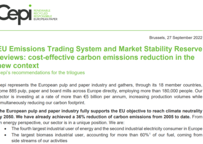 EU Emissions Trading System and Market Stability Reserve<br>reviews: cost-effective carbon emissions reduction in the<br>new context