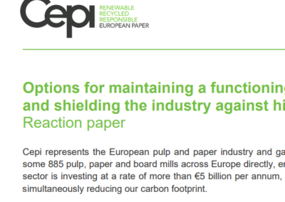 Reaction paper: Options for maintaining a functioning energy market and shielding the industry against high energy costs