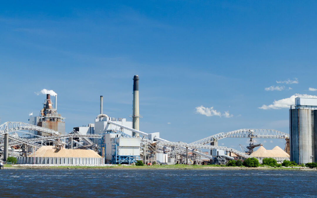 Energy Transition & Green Deal