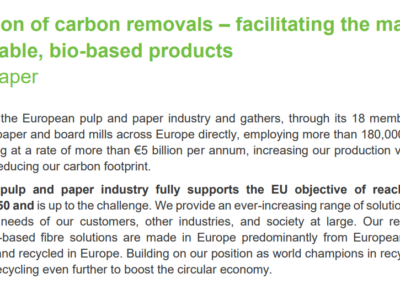 Position Paper: Carbon removals certification