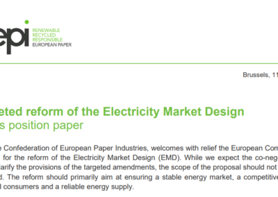 Position paper: Targeted reform of the Electricity Market Design