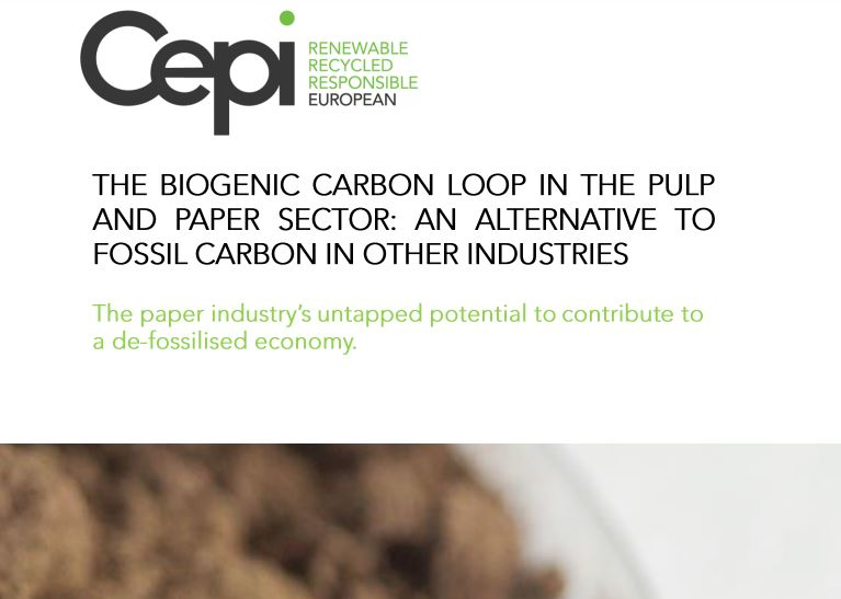 The Biogenic carbon loop in the pulp and paper sector: an alternative to fossil carbon in other industries