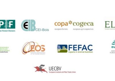 Joint Statement: European Commission grants an additioanl twelve months for EUDR implementation in response to sector concerns