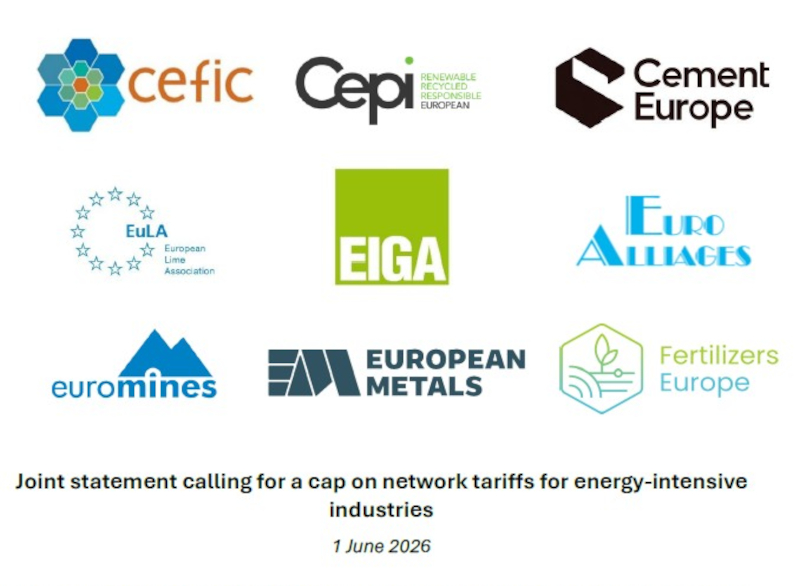 Joint statement calling for a cap on network tariffs for energy-intensive industries