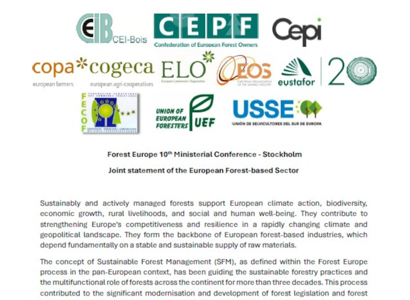 Joint statement of the European Forest-based Sector on the occasion of the 10th Forest Europe Ministerial Conference in Stockholm